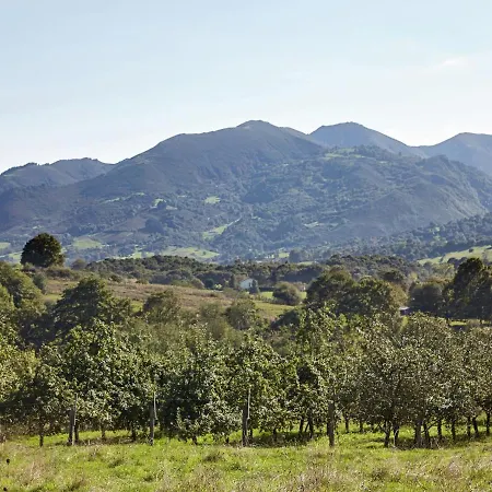 Mansion In With Pool & Terrace *