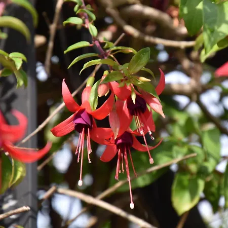 Mansion In Nava With Pool & Terrace