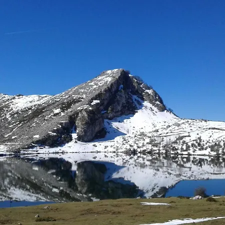 Mansion In With Pool & Terrace